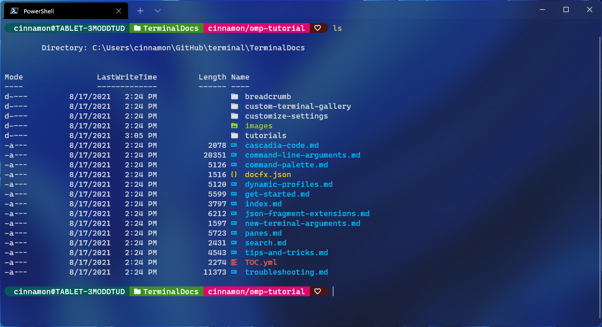 Linux terminal with command prompt