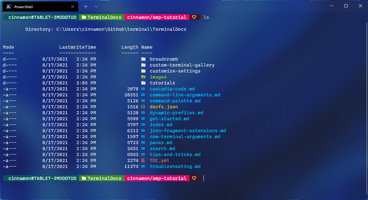 Terminal window with a Bash prompt