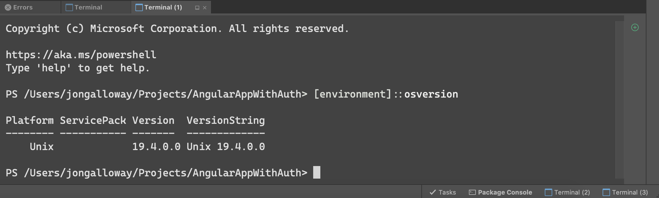 Terminal window with code downloading and extracting